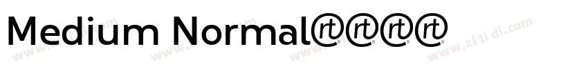 Medium Normal字体转换 Medium Normal字体转换